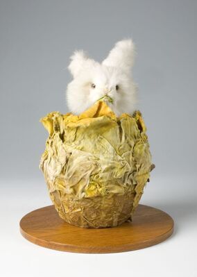 0868 rabit in cabbage klein.jpg; 0868; ;